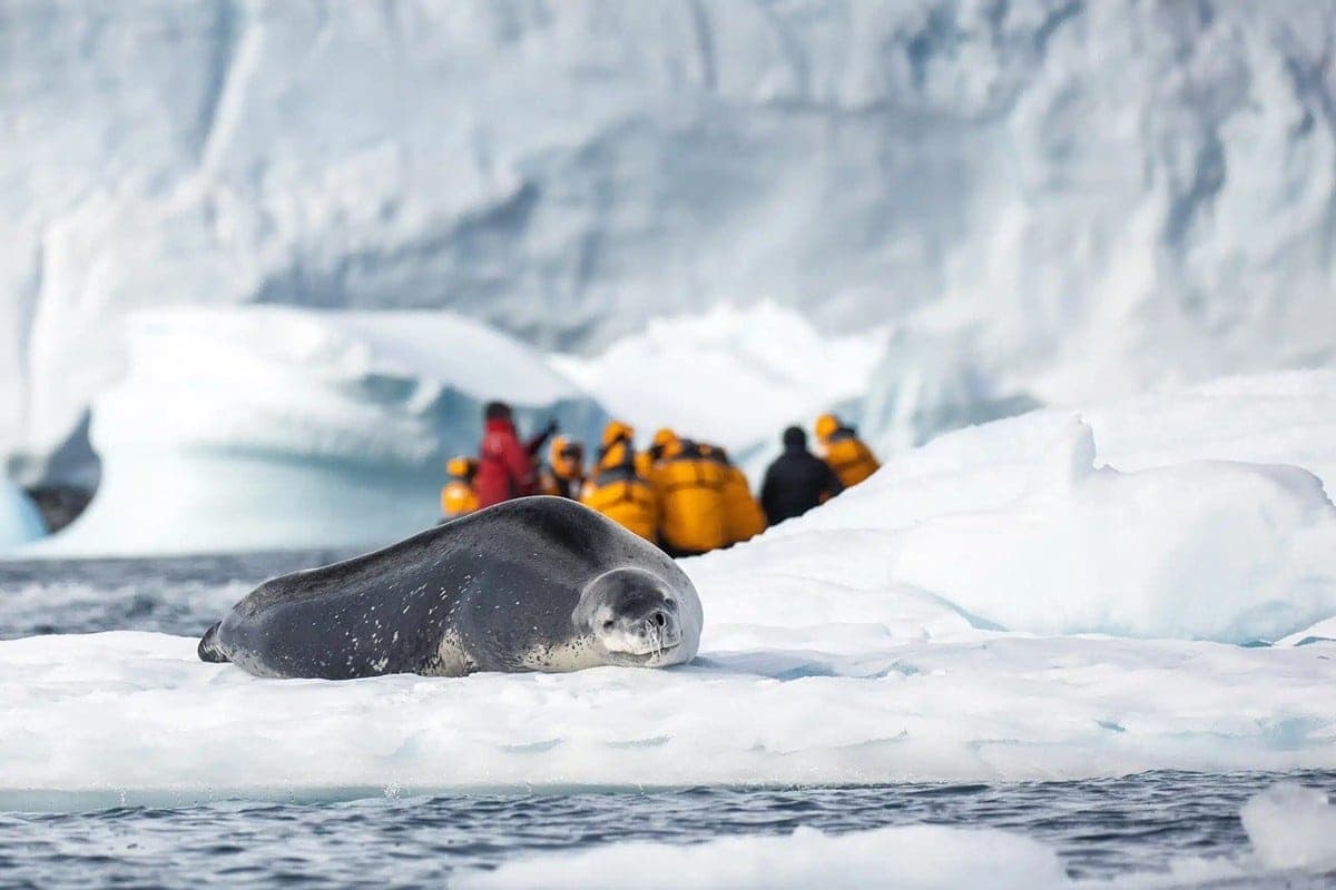 南極三島深度遊 (自由行套票)【20日19夜】