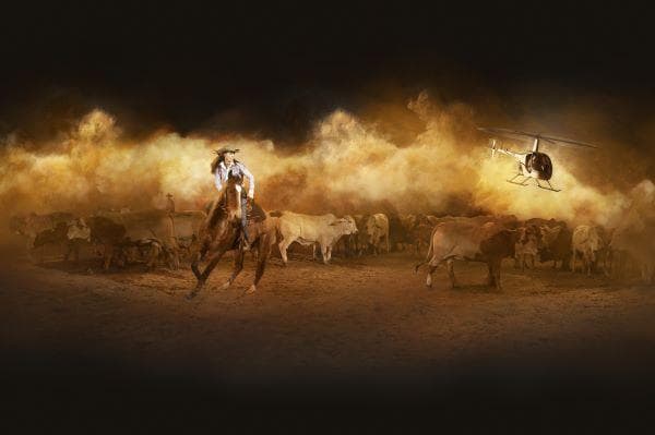 澳洲布里斯本+黃金海岸7天【暑假親子遊．一家人瀛遊】