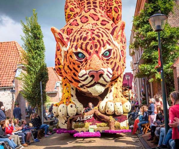 10天 荷蘭．杜拜 <荷蘭年度花車巡遊+花展> - AMS10E