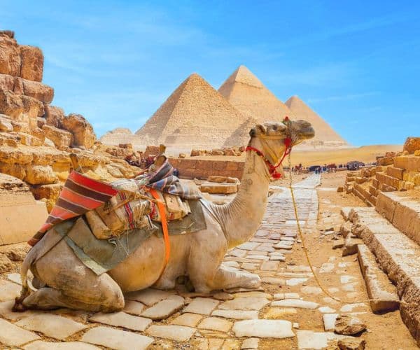 9天超值埃及旅行團 開羅 · 尼羅河 · 亞斯旺· 樂蜀(帝皇谷) 全新大埃及博物館