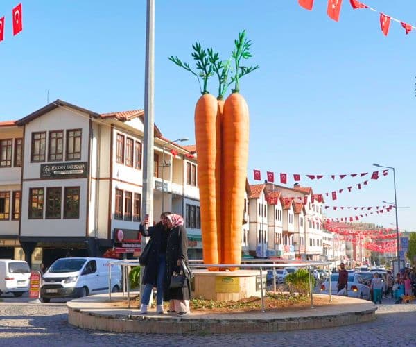 10天奇觀土耳其旅行團 (伊斯坦堡 ．貝伊帕扎勒(胡蘿蔔小鎮)． 棉花堡．加柏都斯亞 (奇石林)