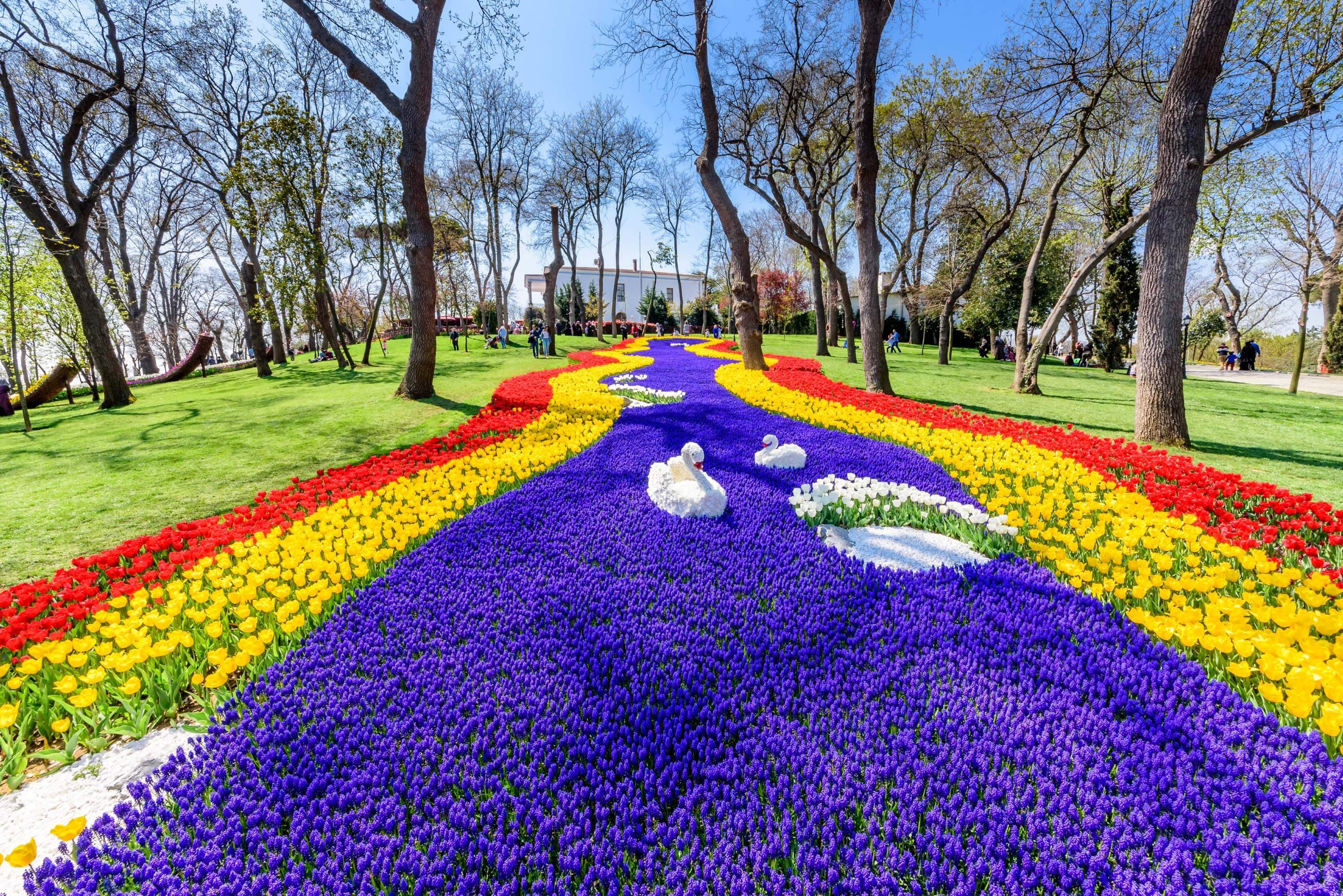 土耳其、番紅花城
